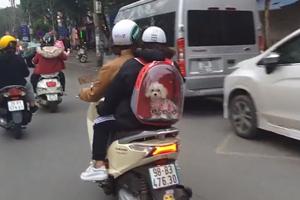 NE, OVO NIJE IGRAČKA! Vozači ostali u šoku kada su videli kako ova žena vozi psa na motoru! (VIDEO)