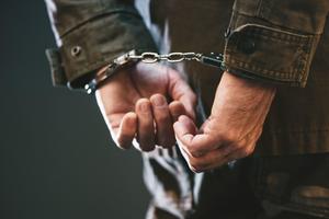 BENZINOM POLIO I ZAPALIO TRAVNJAK ISPRED TUĐE KUĆE: Uhapšen muškarac u Kupinovu