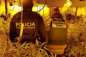 SRBI POHAPŠENI U ŠPANIJI: Održavali i nadgledali plantaže marihuane locirane u nekoliko gradova!