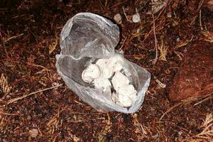HAPŠENJE DILERA U BEOGRADU: Paketi heroina bili sakriveni u ŠKOLSKOM DVORIŠTU (FOTO)