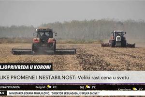 POLJOPRIVREDA U KORONI: Veliki rast cena u svetu, Srbija uvodi kvote na izvoz kukuruza? (KURIR TELEVIZIJA)