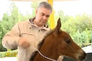 PREDSEDNIK TURKMENISTANA NAPISAO PESMU O ŽDREBETU: Njegov omiljeni konj dobio naslednika, odmah organizovano slavlje (VIDEO)