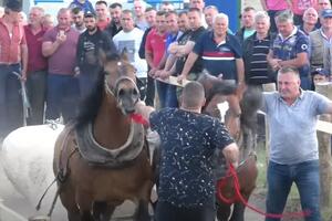 MLADI NE ZNAJU ŠTA JE TO ŠTRAPARIJADA A NI ČEMU SLUŽI: A zbog nje se pola Čačka i Kraljeva slije u selo Tavnik! (VIDEO)