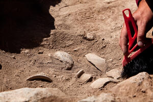 NEOČEKIVANO OTKRIĆE U PUSTINJI KINE: Arheolozi utvrdili poreklo misterioznih mumija zakopanih u čamcima pre 4000 godina