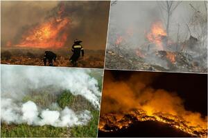 PRIRODNA KATASTROFA BEZ PRESEDANA U šumskim požarima u Rusiji izgoreo prostor veličine pola Nemačke: Još uvek gori 250.000 hektara