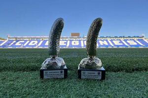 NEVIĐEN SKANDAL U ŠPANIJI! Pobednik turnira u ženskom fudbalu dobija trofej u obliku PEN*SA!