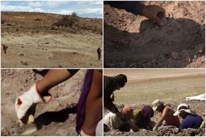 TO SU BILE DRUŠTVENE ŽIVOTINJE: U Patagoniji otkriveni fosili koji dokazuju da su neki dinosaurusi živeli u krdu FOTO, VIDEO