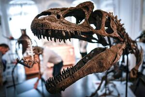 NEKA KORIST OD LOKDAUNA: Penzionisani lekar sređivao uzorke, otkrio novu vrstu dinosaurusa sa ekstremno velikim nosom