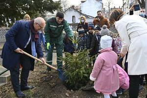 VESIĆ: Grad Beograd će renovirati dvorište vrtića "Skadarlija"! Počela sadnja jelki