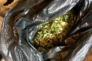 U KAMIONU TURČINA U PIROTU PRONAŠLI 18 KILOGRAMA DROGE: U torbi bilo 11 paketa u kojima se nalazila marihuana