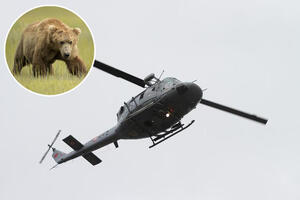 RUSKIM BOGATAŠIMA PRESUDILI MEDVEDI Helikopter pao na Kamčatki u kojoj caruje preko 10.000 zveri! Spasioci našli samo ostatke tela