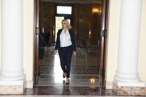 SA STARIM PRIJATELJEM IZ IZAZOVNIH VREMENA! Pogledajte sa kim se sastala Kisićeva po odlasku iz Vlade: NASMEJANI POZIRALI (FOTO)