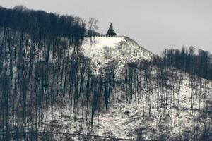 ODE STARA ZA NOVU ŠUMU: Velika seča bukve na planini Gučevo (FOTO)