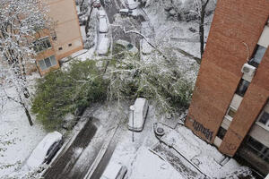 DRVEĆE PADA PO CELOJ PRESTONICI: Automobili UNIŠTENI, Karaburma u KOLAPSU! Sneg okovao Srbiju, nije pošteđen ni BEOGRAD (FOTO)
