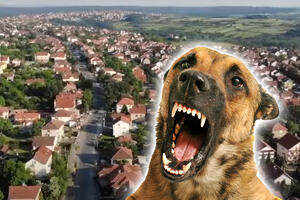 OPERACIJA DUGO TRAJALA: Evo u kakvom je stanju devojčica koju je u Sremčici napao vlasnički pas