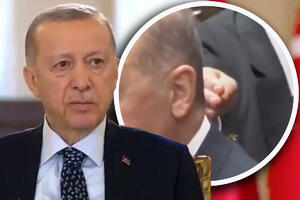 HIT SNIMAK ERDOGANA: Turskog lidera napala osa dok je držao govor, obezbeđenje odmah prišlo, nisu imali ni TRUNKU MILOSTI (VIDEO)