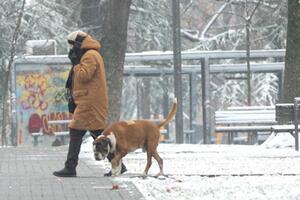 DA LI BABA MARTA DONOSI SNEG: Za nama najtopliji februar u istoriji, ali zimu NE TREBA OTPISATI! Ovog datuma stiže zahlađenje