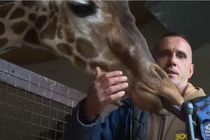 RISTE I NJEGOVA ŽIRAFA UMRLI U ISTOM DANU: Neverovatna priča o čuvaru skopskog zoo vrta rasplakala svet! VIDEO