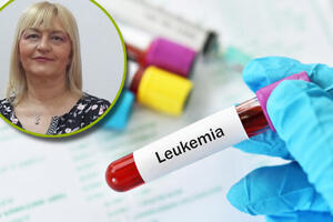 Koji tipovi leukemija postoje? Povišeni leukociti i spontana pojava modrica - alarm za odlazak kod lekara