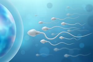 Put do bebe biće lakši: Ultrazvučni talasi visoke frekvencije poboljšavaju aktivnost spermatozoida