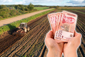 PRIJAVA DO PETKA, MOŽETE DA DOBIJETE DO 200.000€: Još jedna prilika za poljoprivrednike, kako do BESPOVRATNIH sredstava?