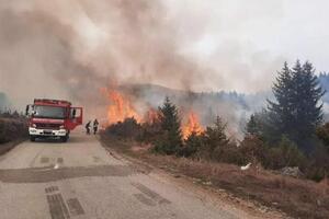 BORILI SE S VATROM OD PODNEVA: Vatrogasci Sektora za vanredne situacije lokalizovali veliki požar kod prijepoljskog sela Borovača