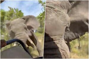 ZASTRAŠUJUĆE SCENE NA SAFARIJU: Slon juriša direktno na vozilo i ubija ženu! "O moj bože, dolazi brzo" (VIDEO)