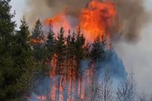 DRAMATIČNI PRIZORI U TRGOVIŠTU: Bukti požar, vatrena stihija se proširila i na Lesničke planine! PLAMEN GUTA DRVEĆE (VIDEO)