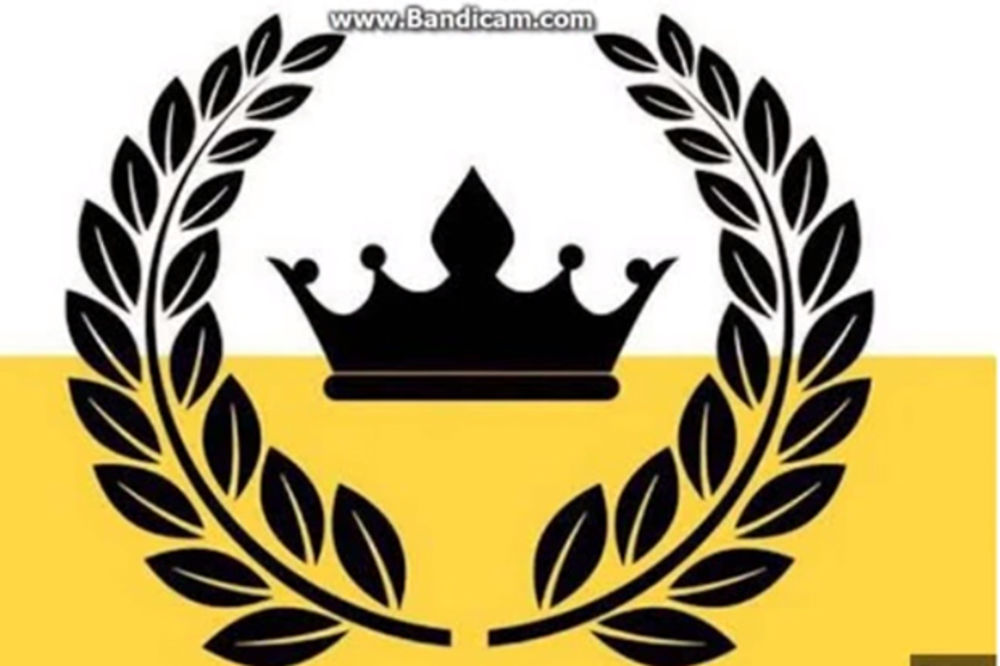 Ovo je navodni grb "Kraljevine Enklave" (Foto: Printscreen YouTube)
