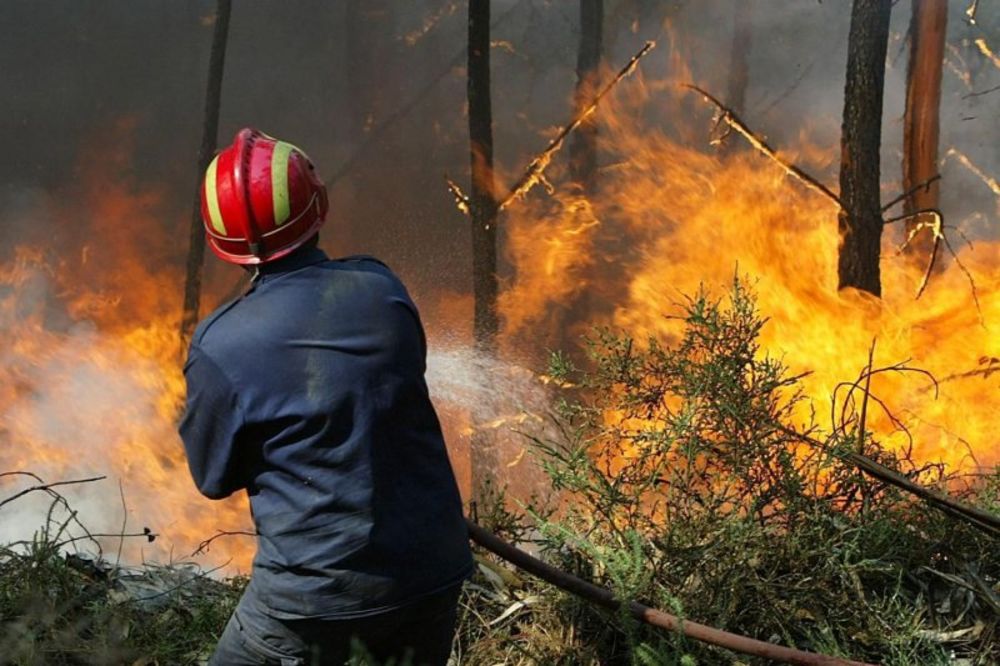 U šumskom požaru u Makedoniji dvoje mrtvih