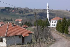 SAD i EU: Bosanskim mudžahedinima iz Sirije zabranjen put na zapad!