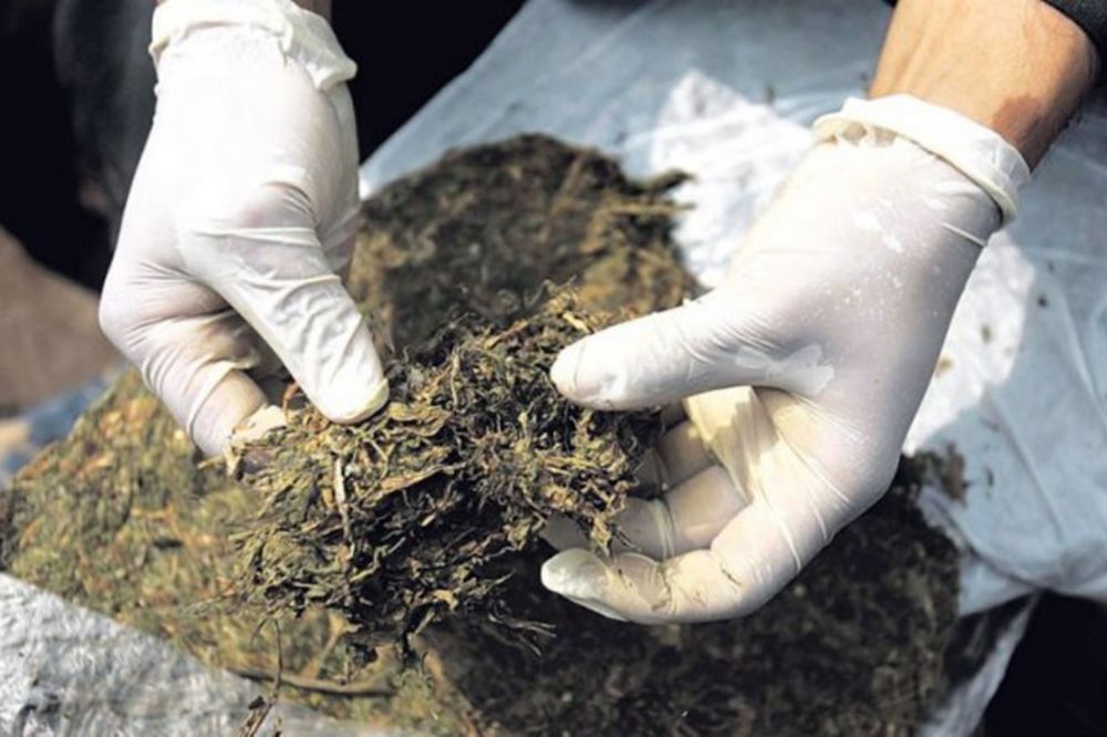 PUNA TORBA DROGE: 10,5 kg marihuane otkriveno na Merdaru