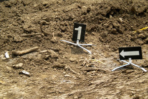 Pronađena masovna grobnica kod Rogatice