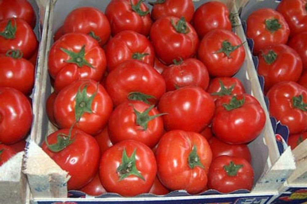 1.000 ODSTO: Od njive do trpeze paradajz poskupi 10 puta!