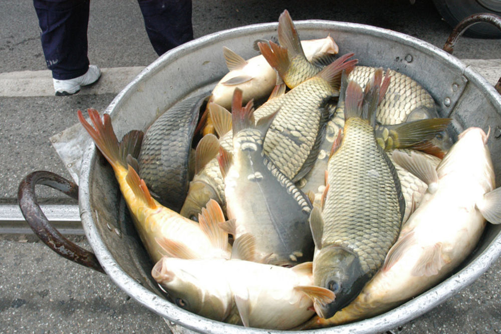Srbija uvozi 70 odsto ribe za ishranu