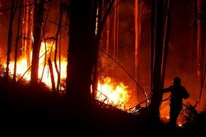 GORI RASTINJE: Požar u blizini turstičkog centra Golija