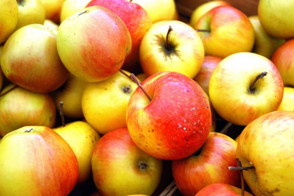Srbija uvozi jabuke iz Argentine i Novog Zelanda!