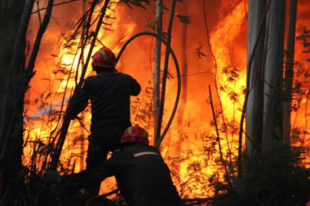 Požar u Makedoniji lokalizovan, privedena osumnjičena