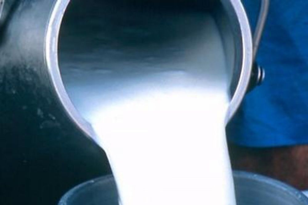 Udruženje proizvođača: Srbiji preti nestašica mleka