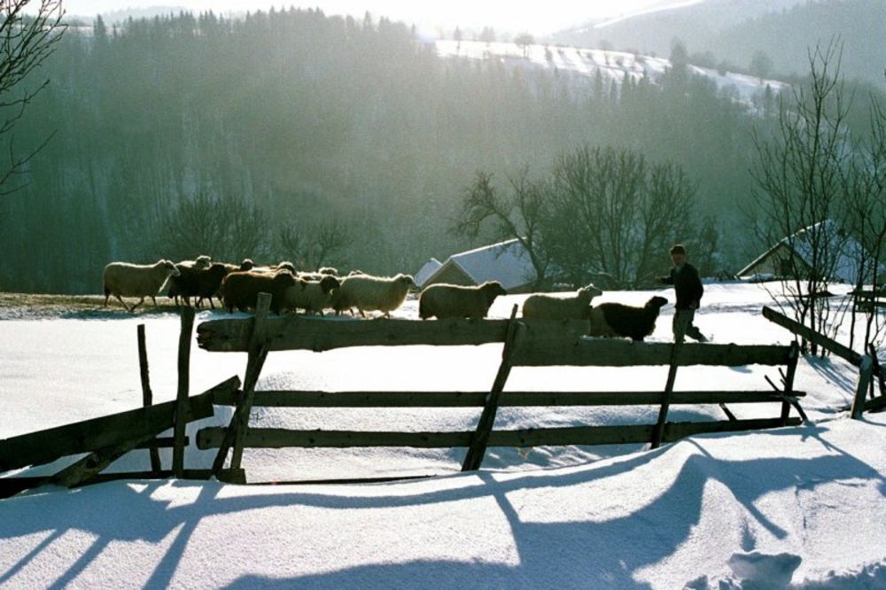 SIBIRSKA ZIMA: U Sjenici minus 22