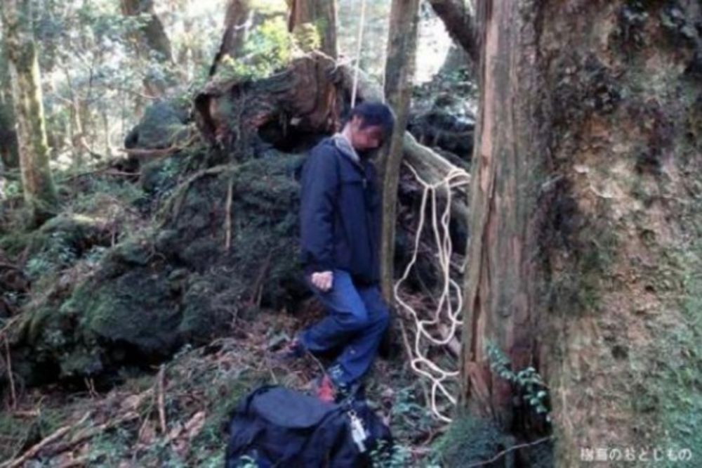 Japanska šuma samoubica!