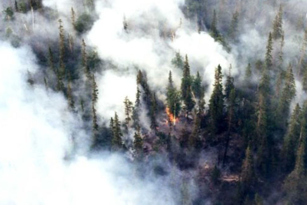 Gori Sibir, bukti najmanje 70 požara