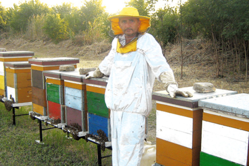 Kradljivci pčela haraju Srbijom