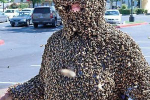 Umrla žena sa preko 1000 pčelinjih uboda