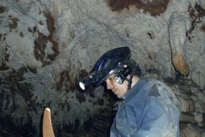U Zlotskim pećinama otkriven fosil kozoroga