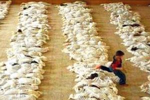 BBC pustio lažnu sliku masakra civila iz Sirije