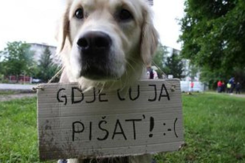 Protest zbog izgradnje u Picinom parku