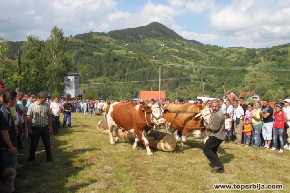 Tradicionalni seoski višeboj u Jablanici
