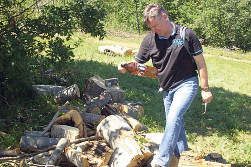 Albanci kradu srpske šume kod Kuršumlije