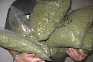 Hrvatska policija zaplenila 63,5 kilograma marihuane